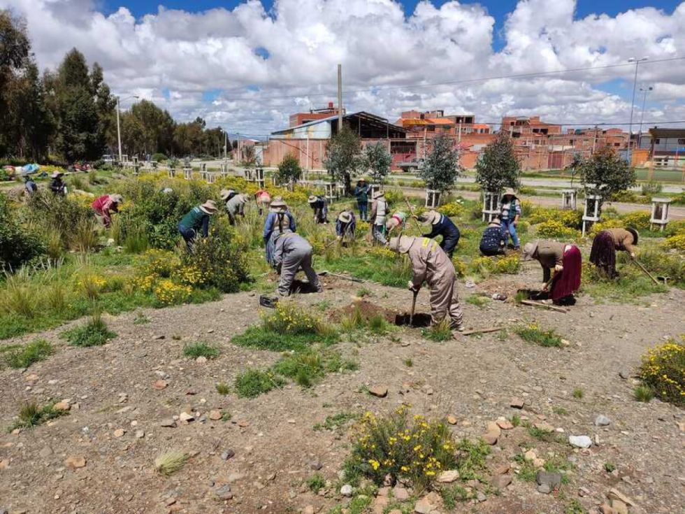 Lanzan fondo para financiar proyectos de bosques sustentables 