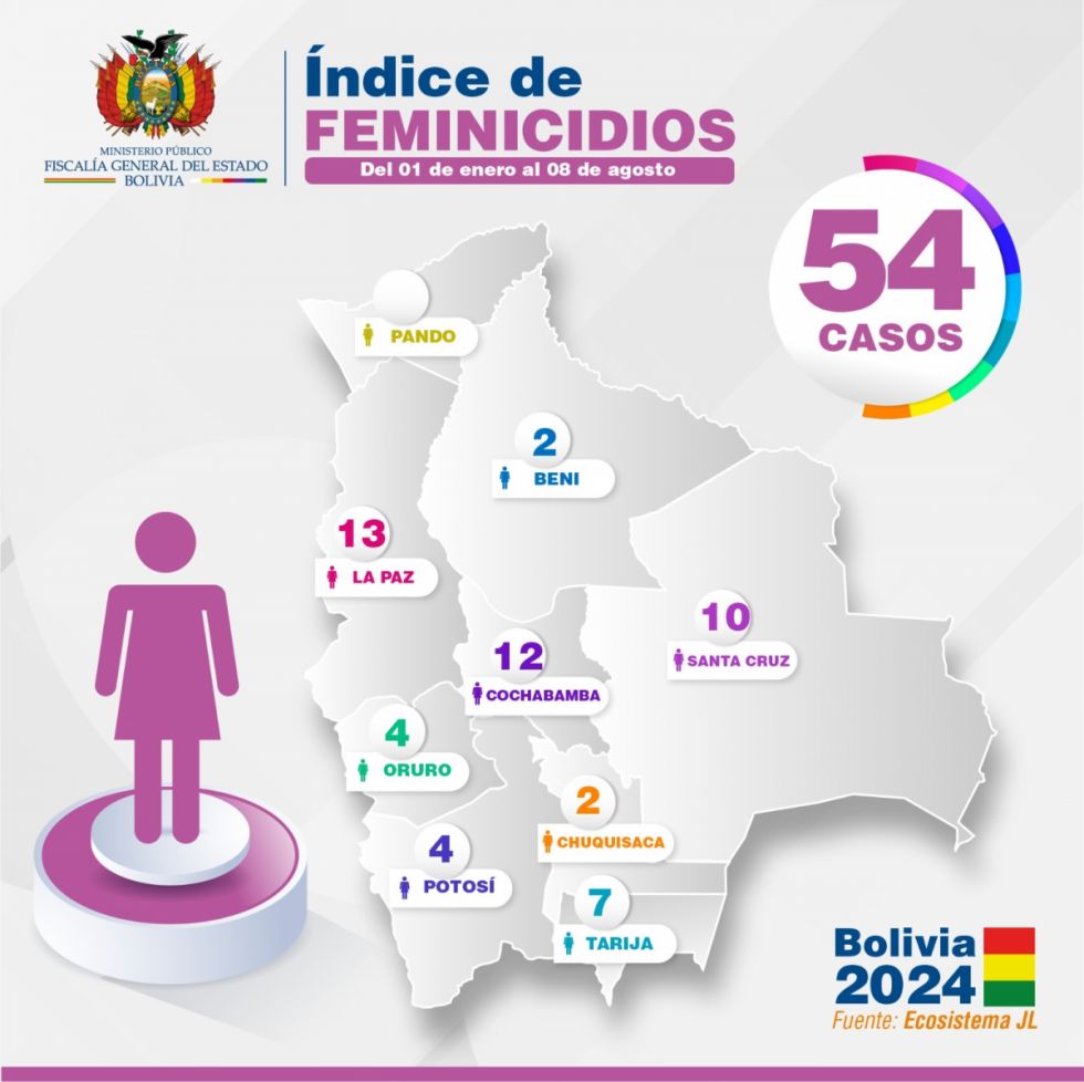 Bolivia reportó 54 feminicidios hasta la fecha, Tarija es la cuarta región con más casos 
