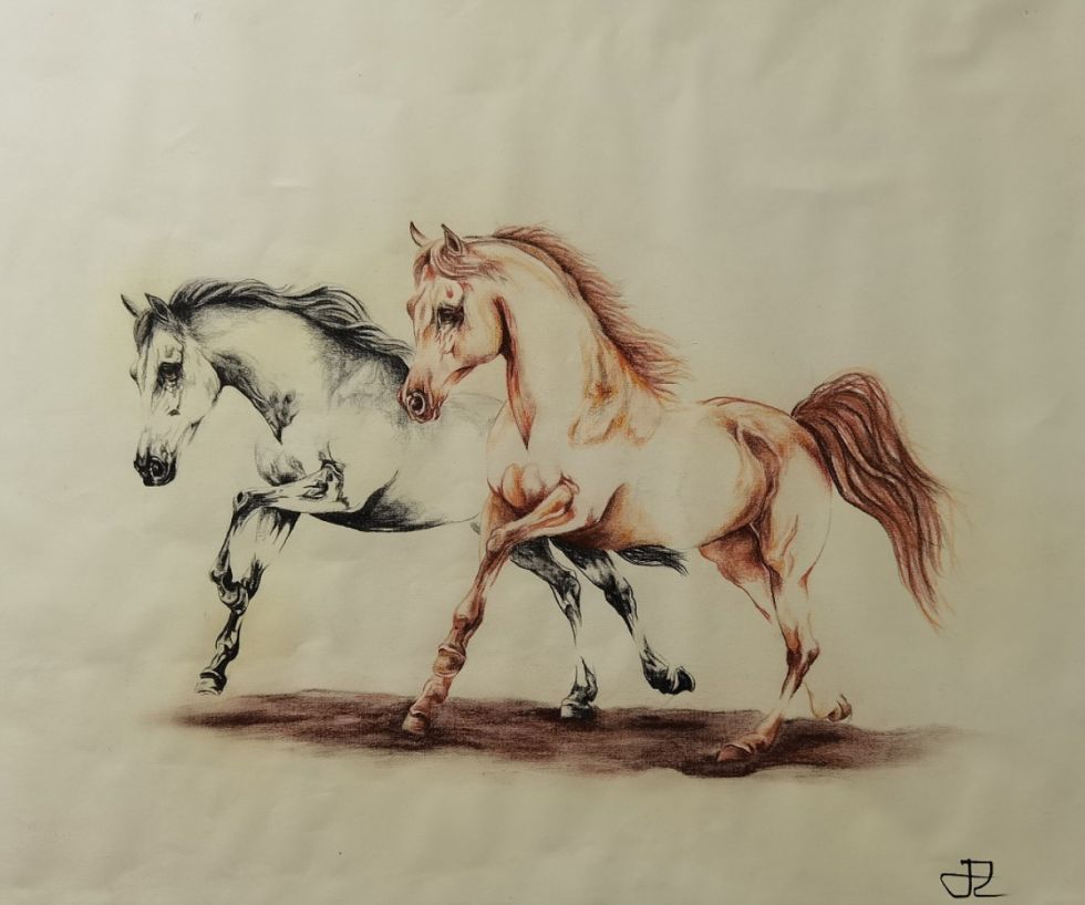 Complemento en armonía, de Jhoseline Rearte. 