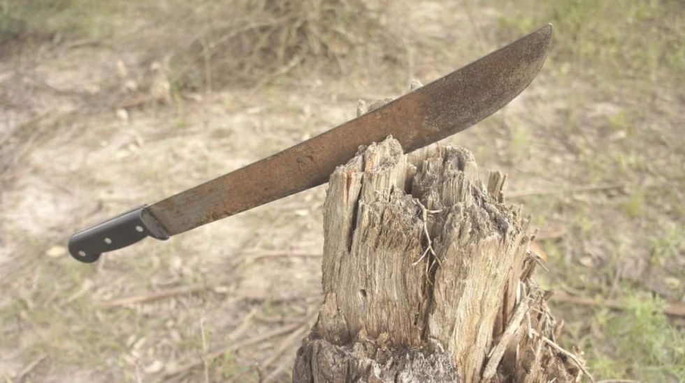 Mujer fue agredida y correteada con un machete por su concubino en Padcaya