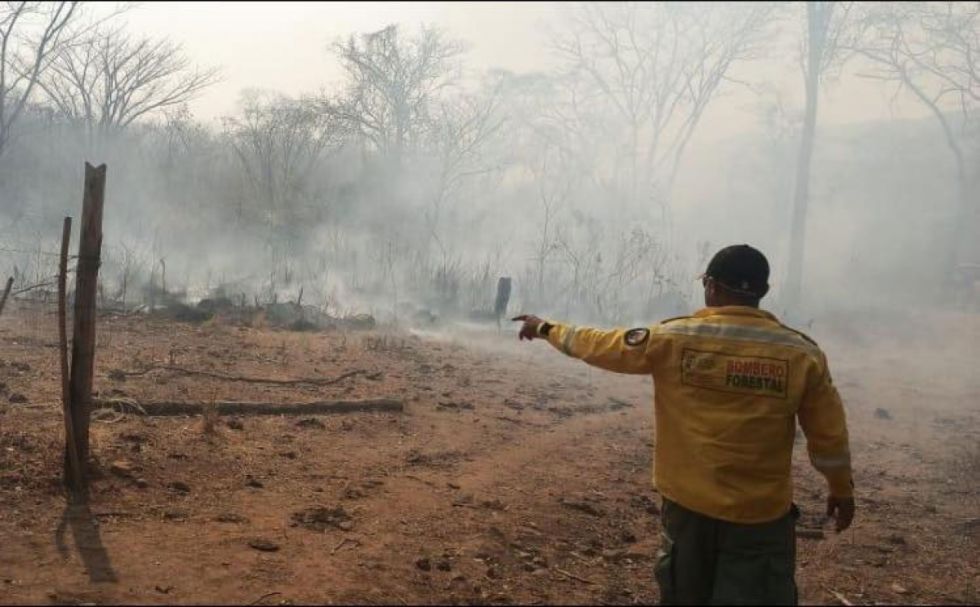 Expertos de Brasil y Chile ayudarán a sofocar los incendios en Bolivia 