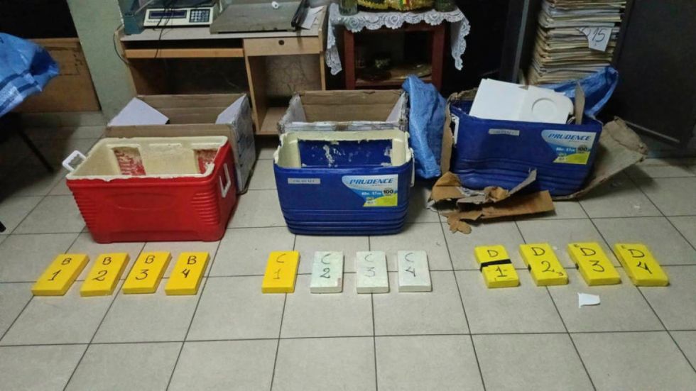 FELCN secuestra 96 kilos de cocaína en dos operativos en Tarija y Santa Cruz