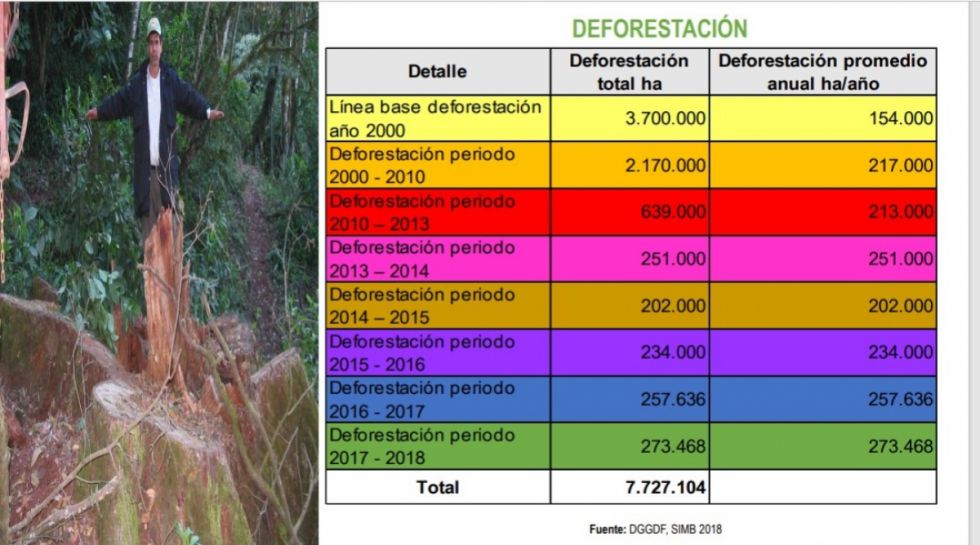 Tarija entre los departamentos más afectados por la deforestación
