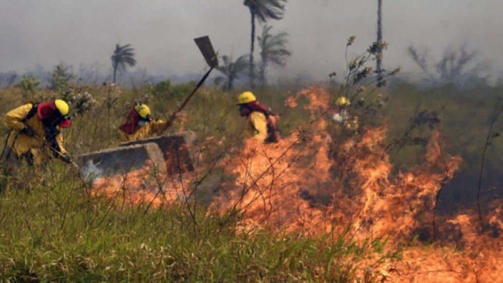 Procuraduría y ganaderos acordaron suspender investigación para identificar propiedades donde iniciaron los incendios