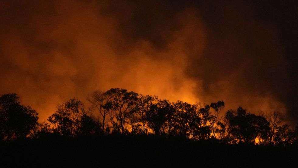 Humo de incendios en la Amazonía llega a Argentina