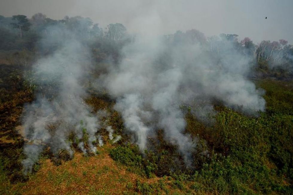Brasil: Incendios apuntan a delitos ambientales