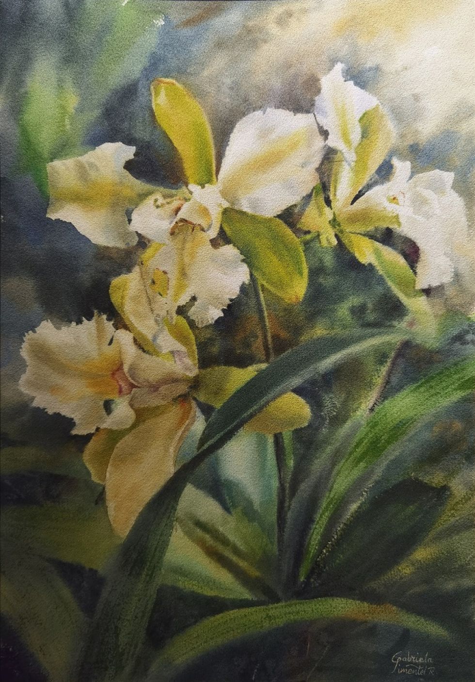 Orquídeas blancas