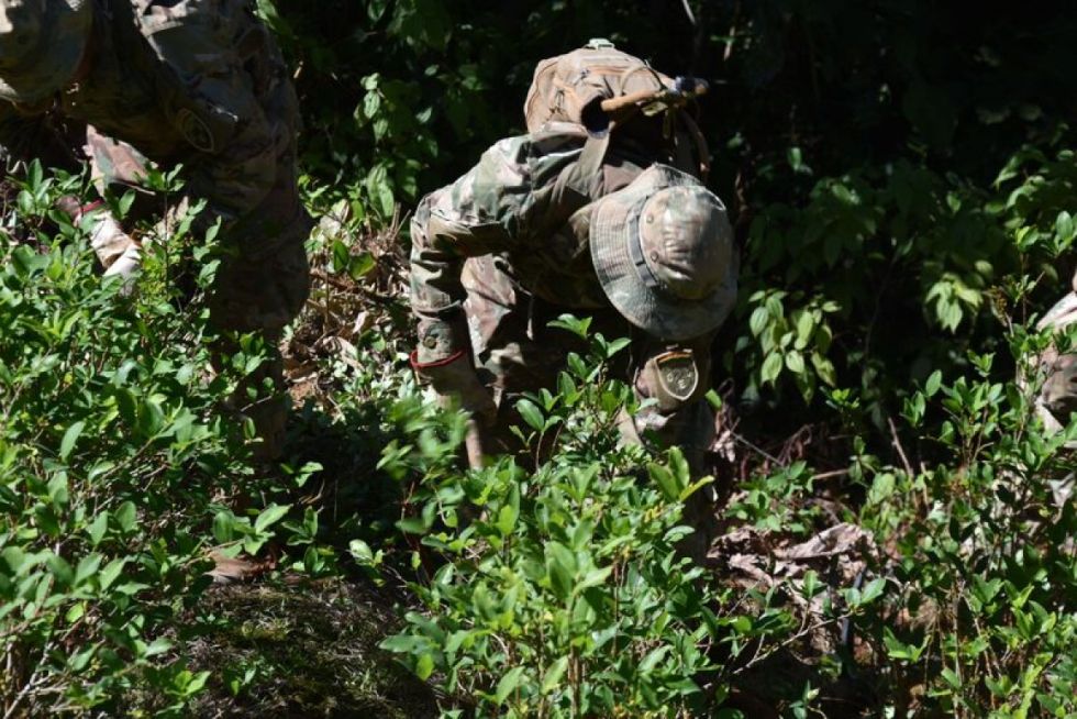 Erradican más de 6.200 ha de hoja de coca