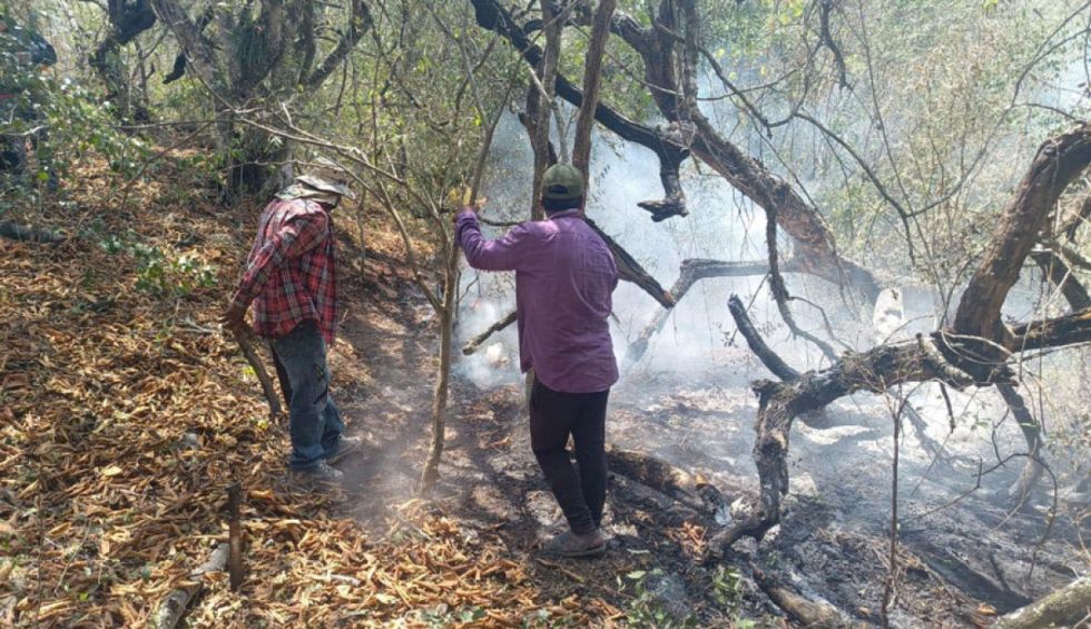 Un país en llamas: la urgente necesidad de debatir sobre los incendios y el desarrollo sostenible