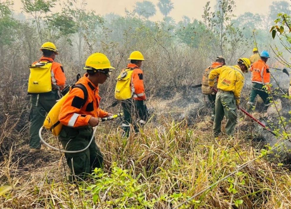 Los incendios aún persisten en 12 municipios