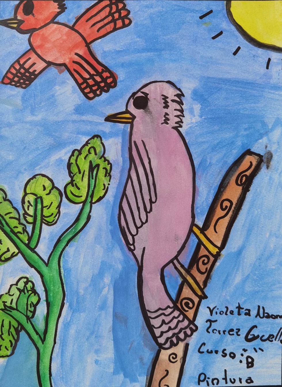 Aves