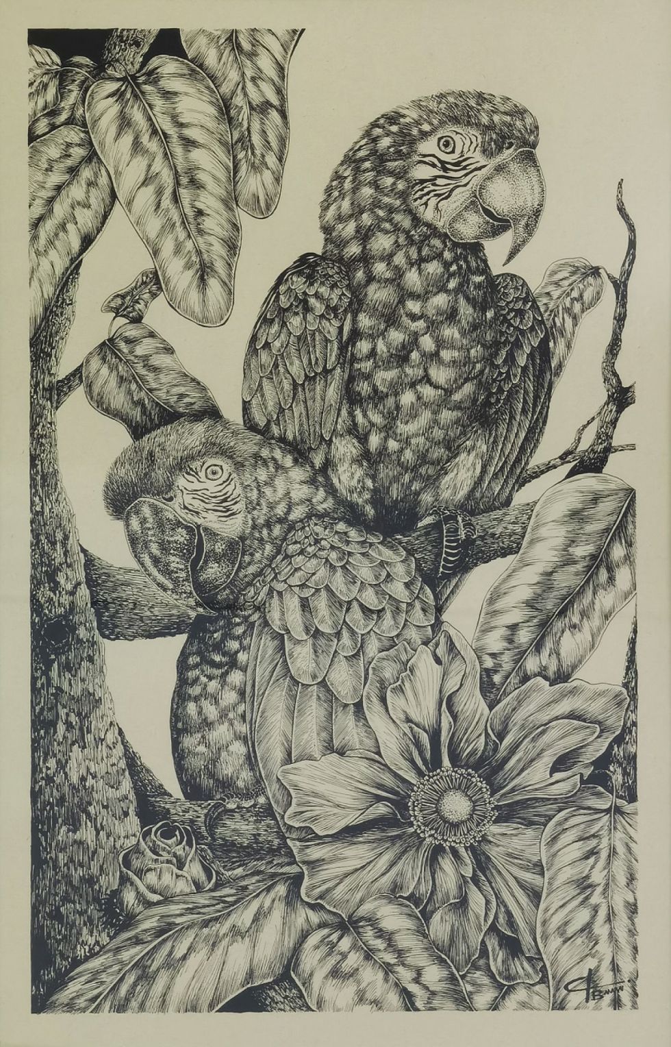 Loros