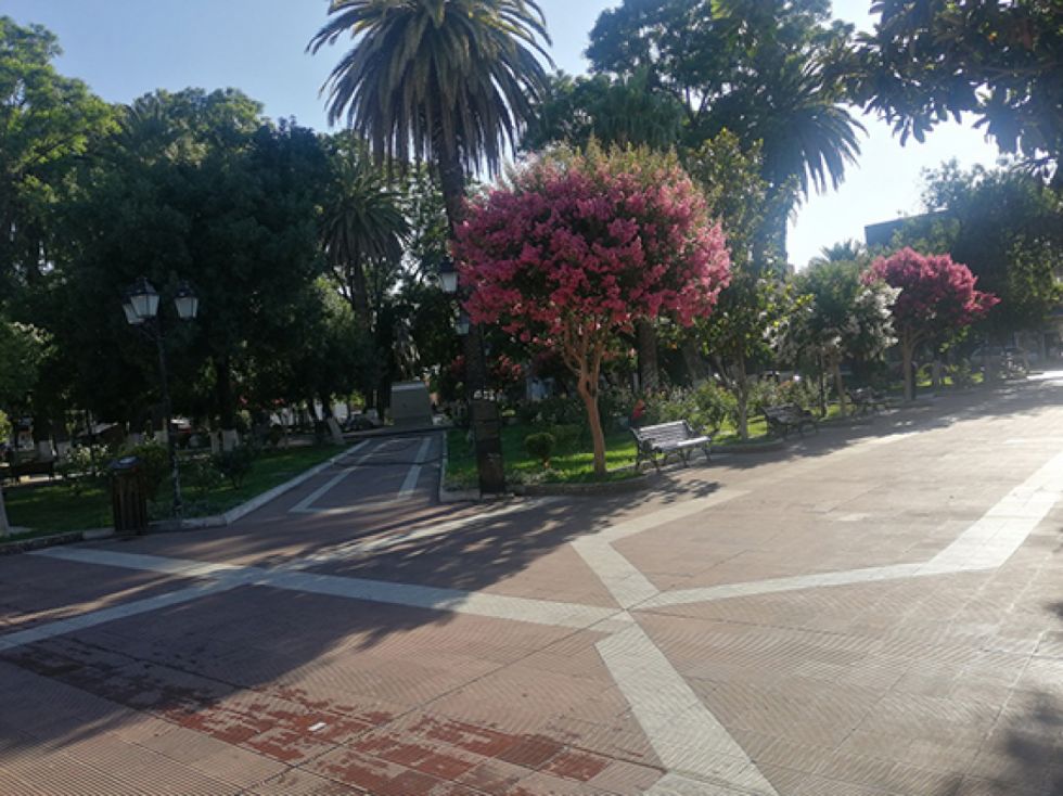 La florida plazuela Sucre