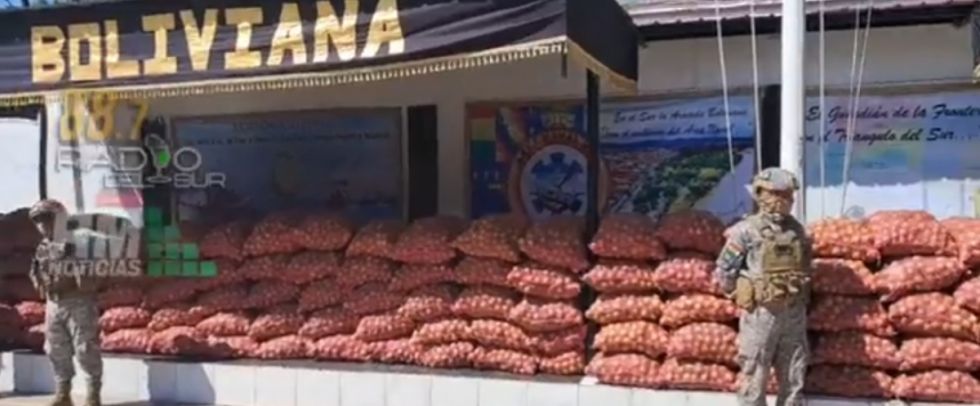 Incautan 120 bolsas de limones que iba de contrabando a Argentina 