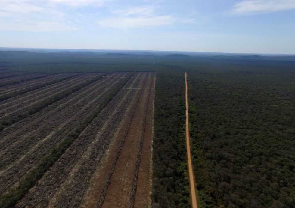 Bolivia se mantiene en el podio de los países más deforestados en el mundo.  Foto: Edwin Caballero.