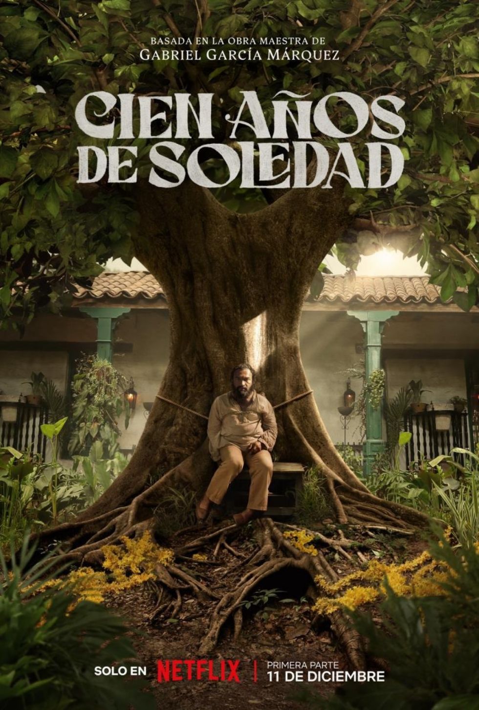Contribución a la polémica sobre “Cien años de soledad”