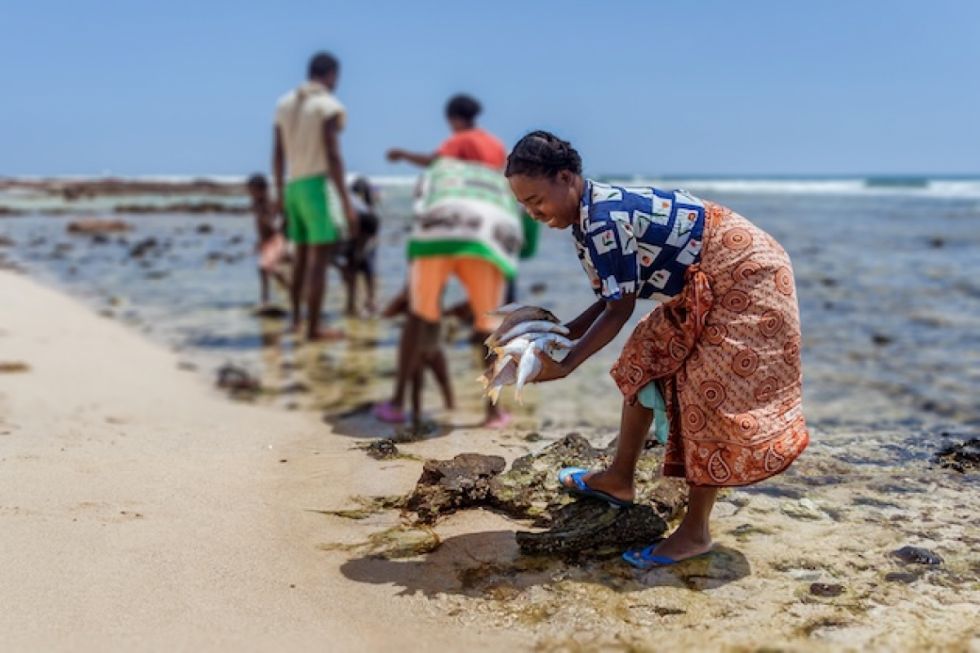 Una mujer malgache prepara pescado en la playa de Lavanono, en el extremo sur de Madagascar.