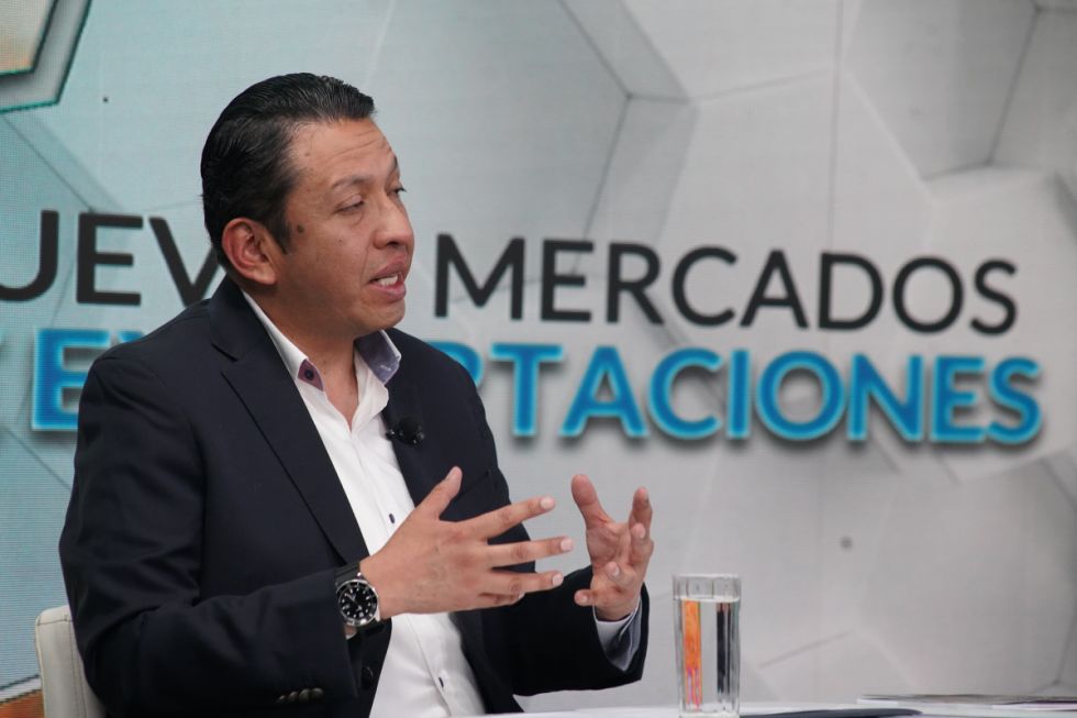 Producción de soya llega a 2.776.692 toneladas en 2024