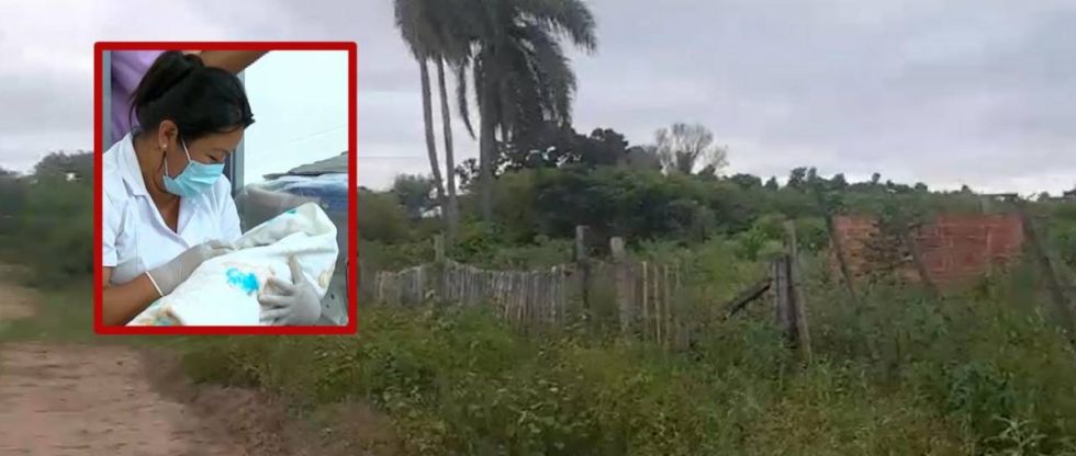 Hallan a un bebé abandonado entre unos pastizales 