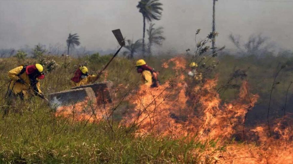 Bolivia en llamas: Investigadores advierten urgencia de reformar políticas para frenar la crisis ambiental