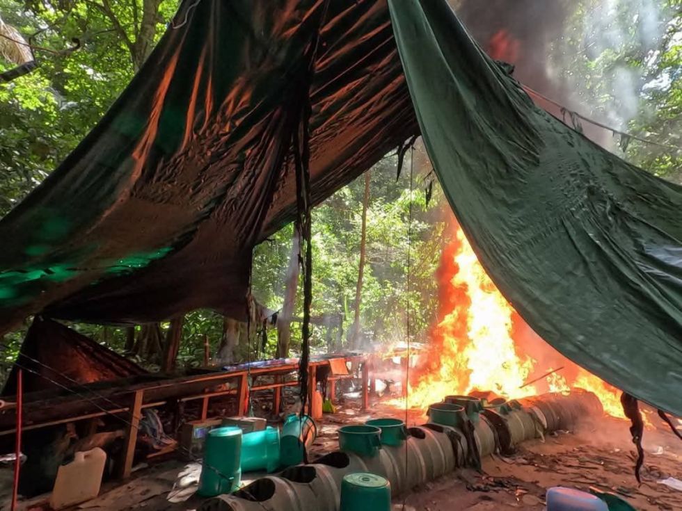 FELCN destruye tres fábricas de cocaína en el Chapare 