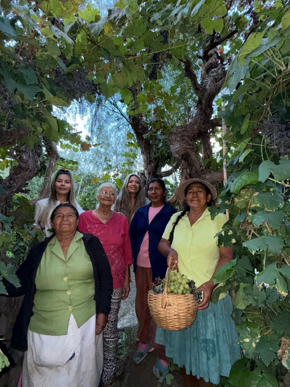 Viticultoras de Camargo ganan premio mundial y ponen a Bolivia en la mira