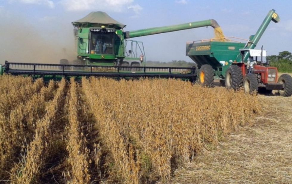 Reportan que la cosecha de soya llegó al 45%
