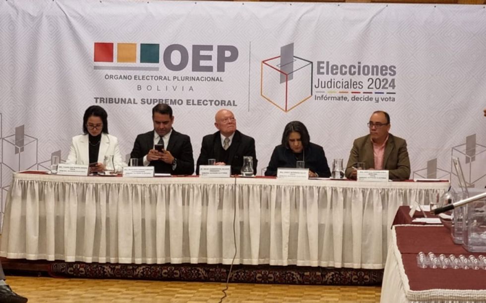 Elecciones: TSE indica que 14 partidos y una agrupación ciudadana entregaron su balance económico