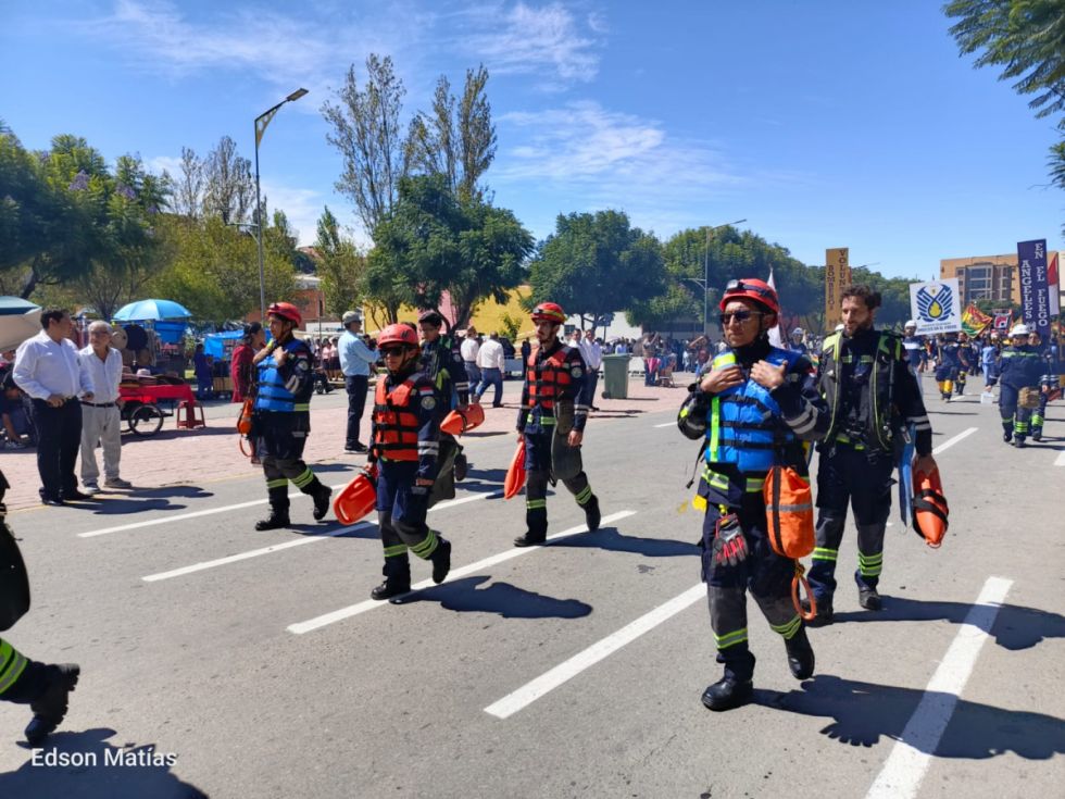 Búscate en el desfile del 15 de Abril (Fotos)