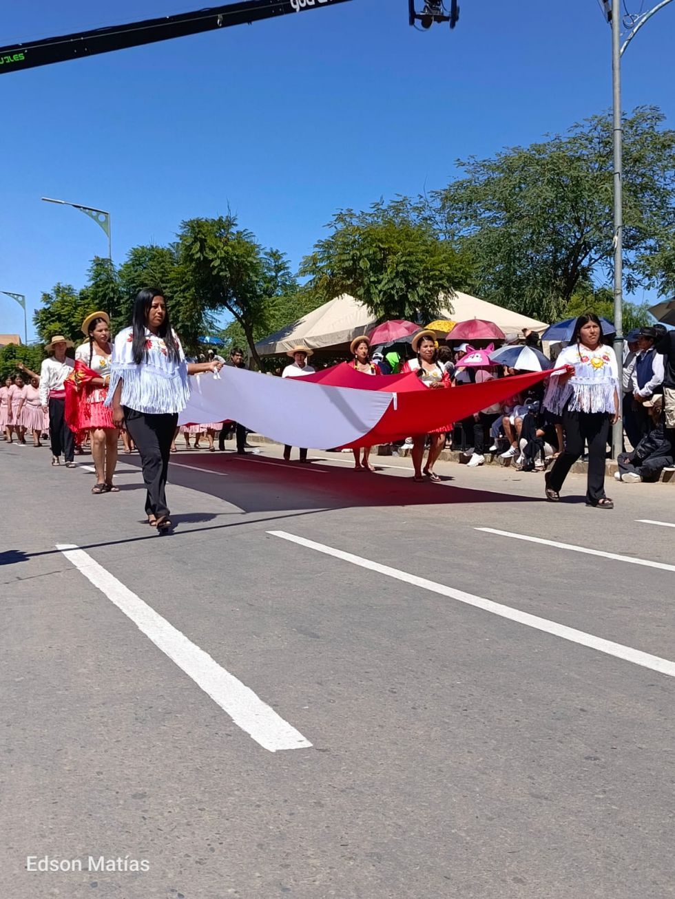 Búscate en el desfile del 15 de Abril (Fotos)