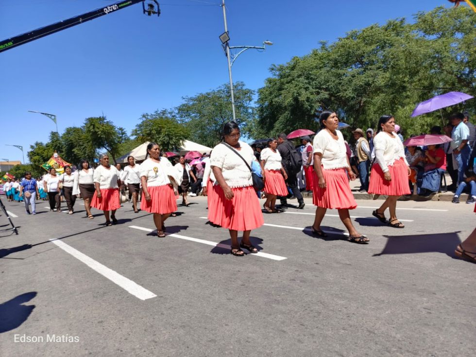 Búscate en el desfile del 15 de Abril (Fotos)
