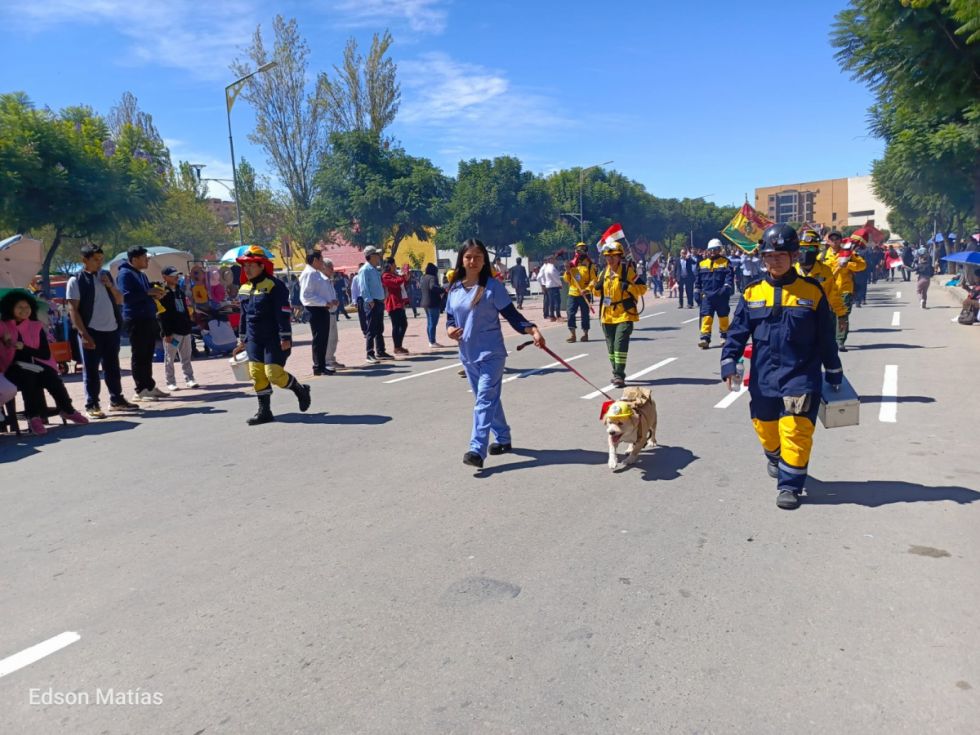 Búscate en el desfile del 15 de Abril (Fotos)