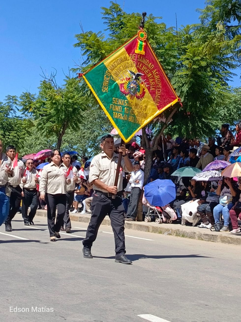 Búscate en el desfile del 15 de Abril (Fotos)