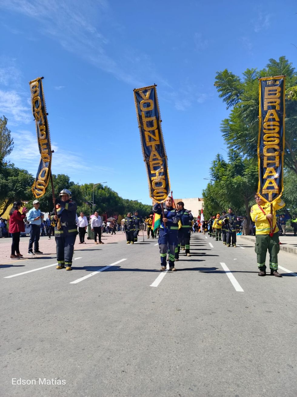 Búscate en el desfile del 15 de Abril (Fotos)