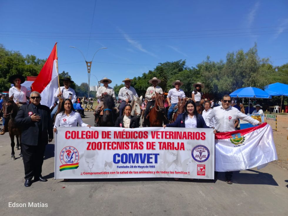 Búscate en el desfile del 15 de Abril (Fotos)