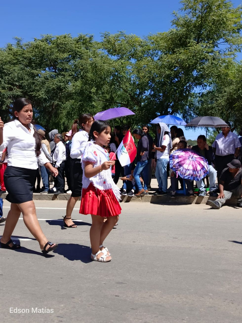 Búscate en el desfile del 15 de Abril (Fotos)