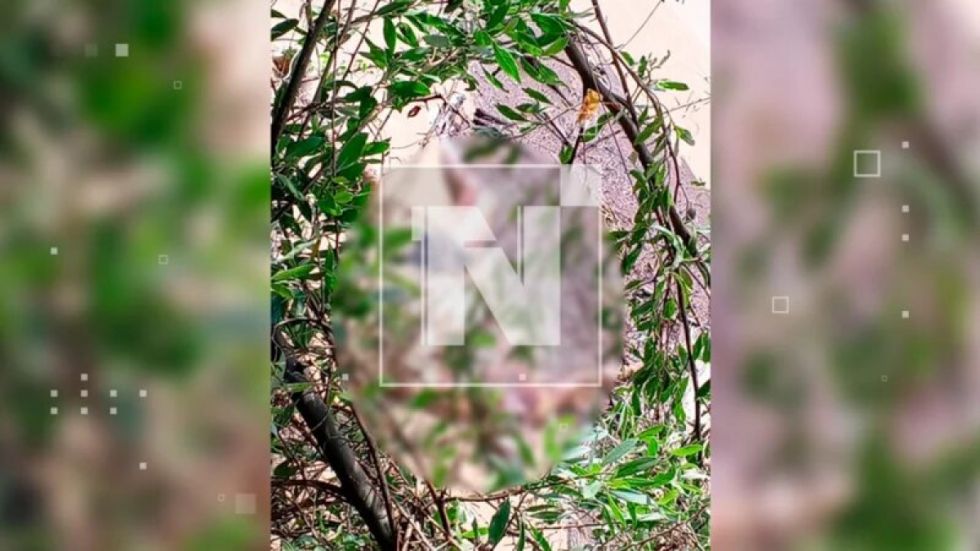Hallan cuerpo sin vida de un hombre en un puente