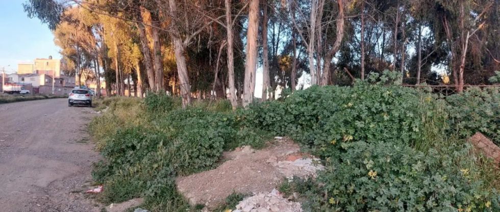 Un hombre muere estrangulado y su cuerpo fue abandonado por dos hombres abordo de un radiotaxi