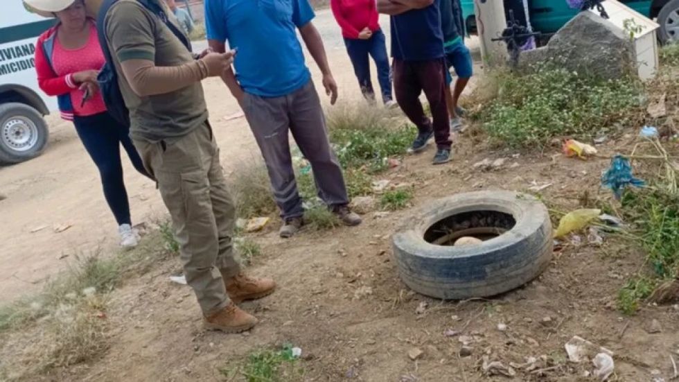 Niños encuentran un cráneo cubierto en plena vía pública