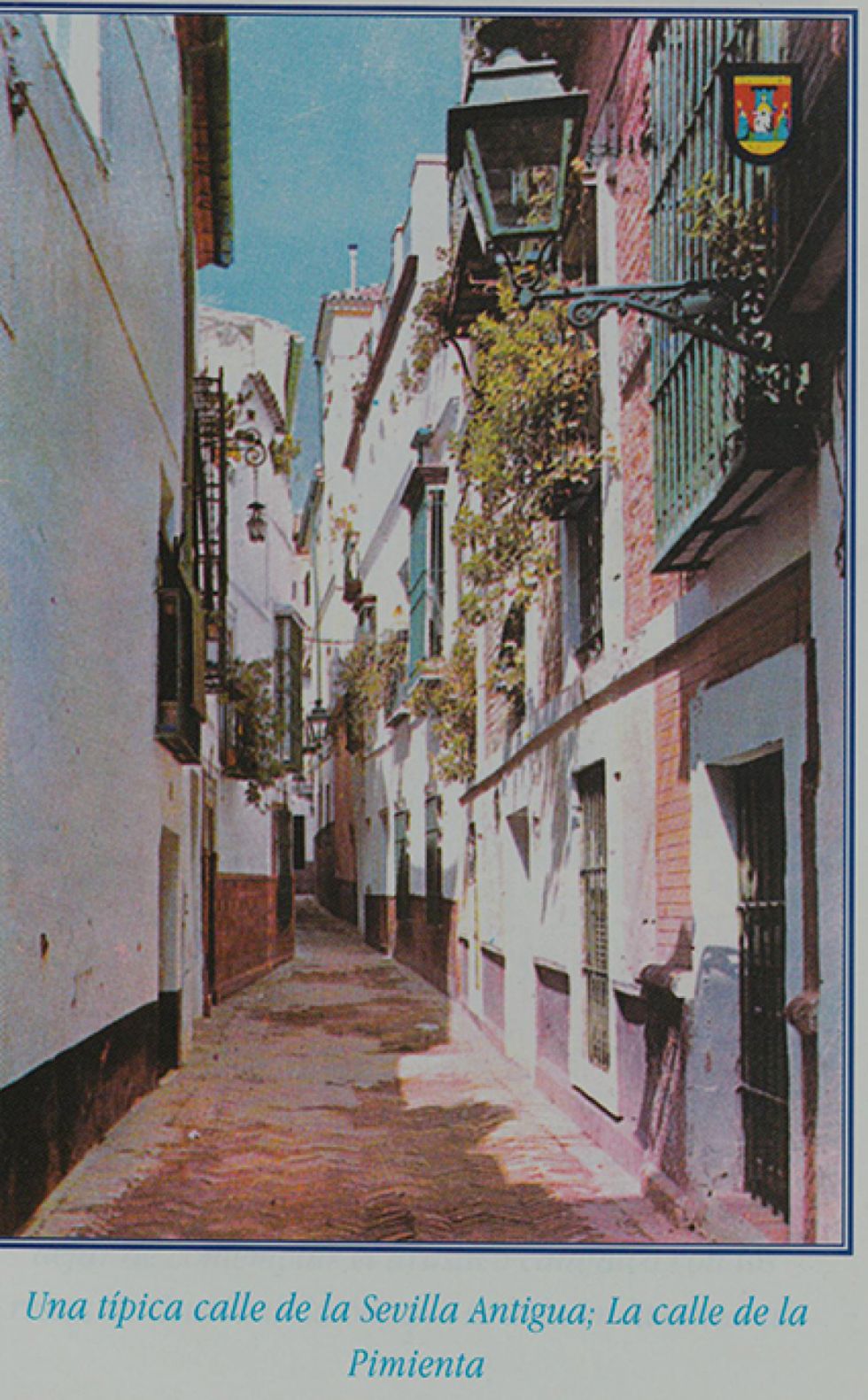 Chapaco Andariego