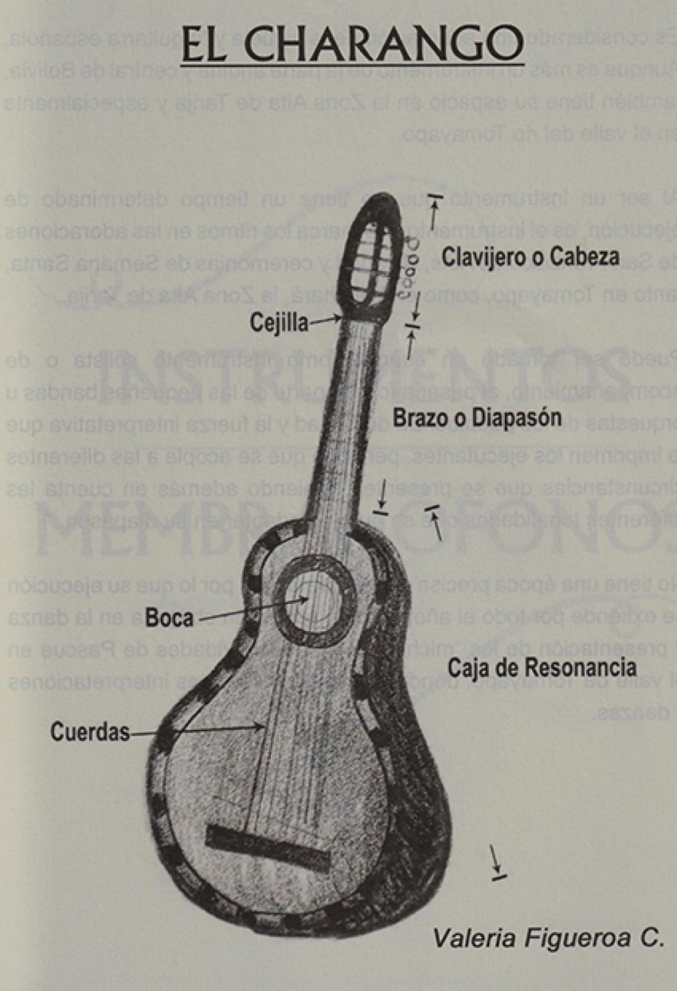 Instrumentos Folklóricos De Tarija