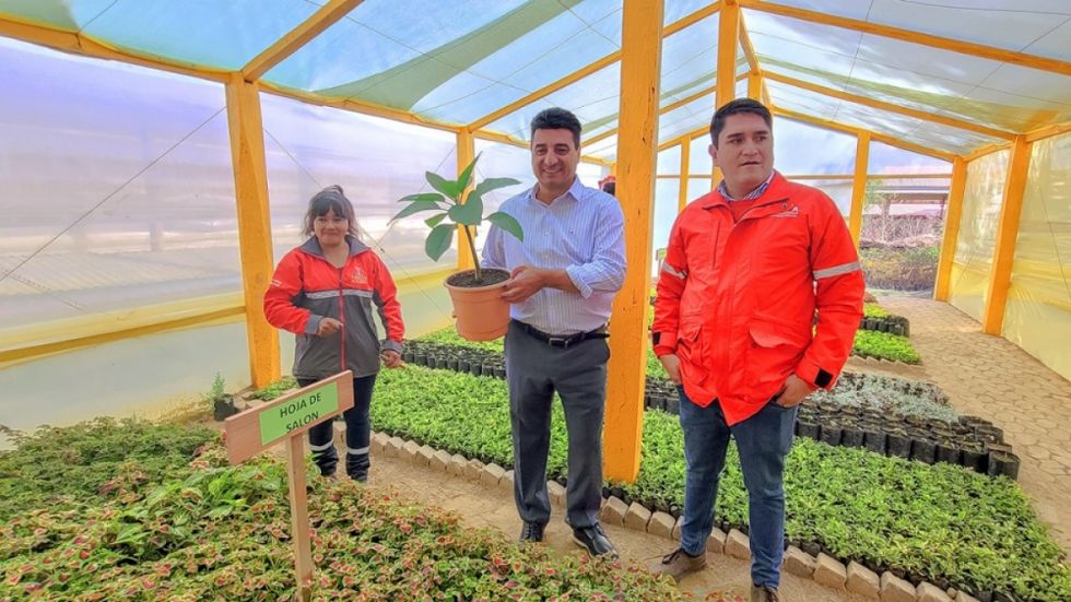 La Alcaldía ejecuta el plan “Tarija verde para siempre”