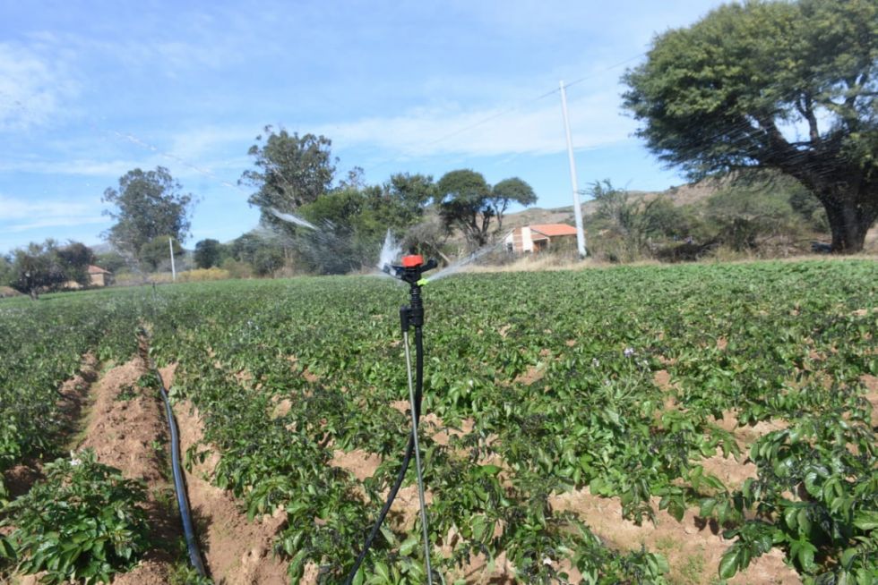 Entregan un nuevo sistema de riego en Caraparí