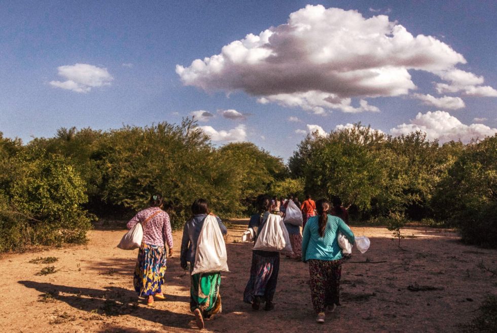 Pueblos del Chaco afrontan la desertificación y la sequía