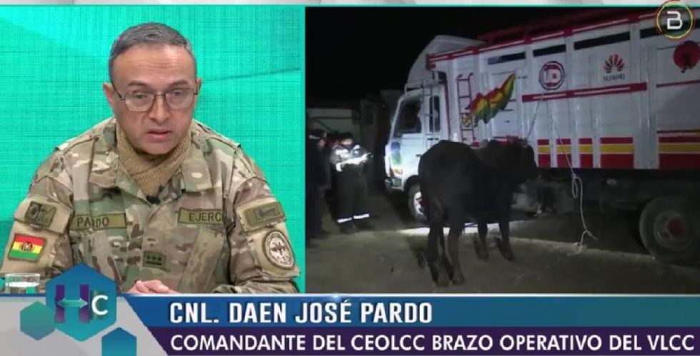Contrabando: estos son los productos más incautados