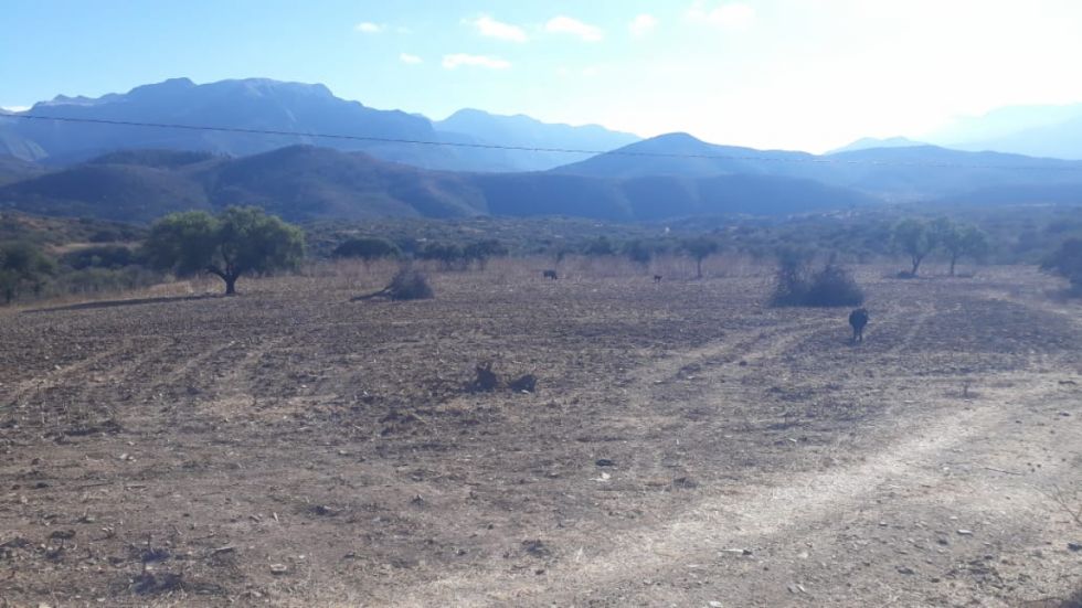 Cambio climático y migración, la crisis que golpea al agro