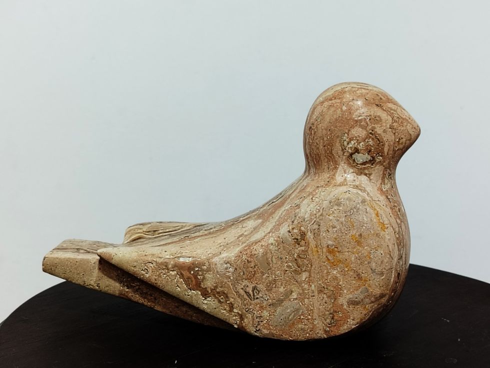 Palomita, de Jorge Aranda