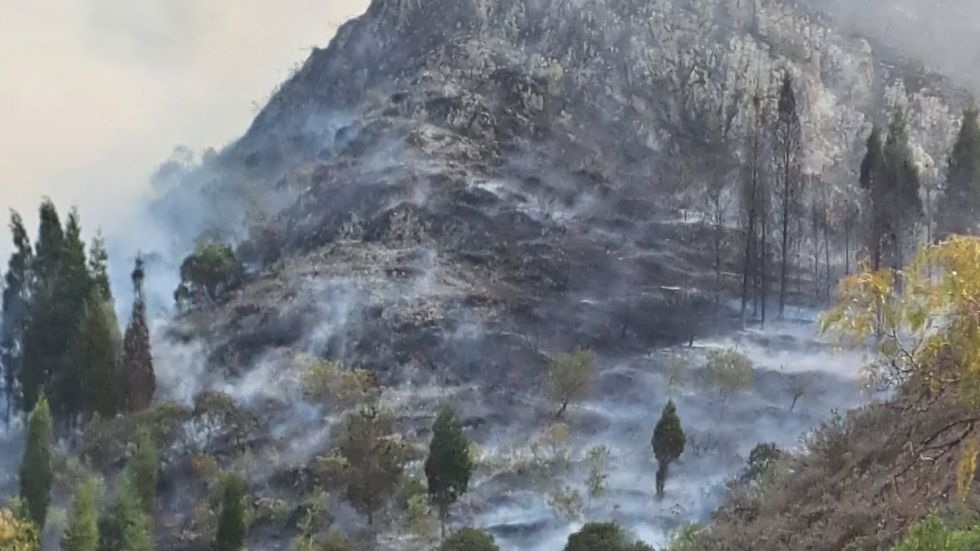 Tarija: Confirman 2 heridos por incendio forestal en Sama