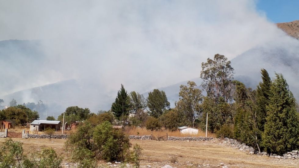 Incendio en Sama: El viento dificulta tareas para controlar el fuego 