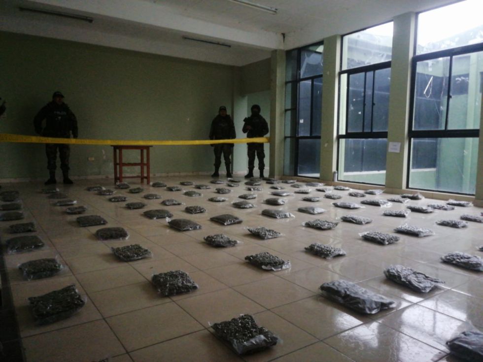 FELCN incauta marihuana y cápsulas con cocaína en dos operativos en Tarija